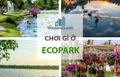 choi gi o ecopark min