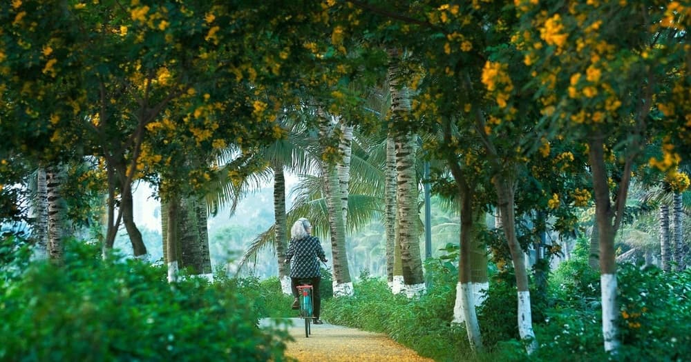 Mùa Thu Ecopark Hưng Yên 2025 – Khi thiên nhiên chạm đến trái tim 1 Ecopark Hưng Yên