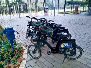 Hướng dẫn thuê xe đạp ở Ecopark