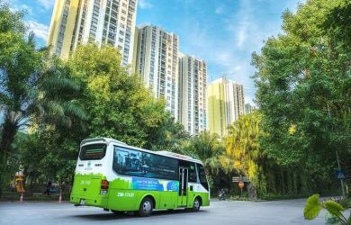 xe bus ecopark 1168 min